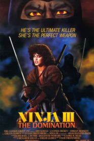 Ninja III: La dominación