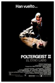 Poltergeist II: El otro lado