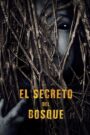 El secreto del bosque