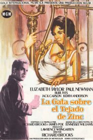 Un gato sobre el tejado caliente