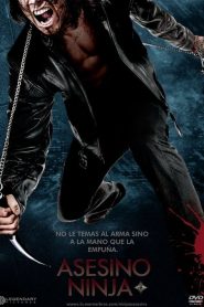 Ninja Asesino