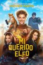 Mi Querido Elfo (Domovoy)