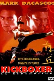 Kickboxer 5