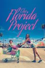 Proyecto Florida