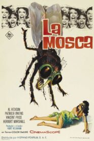 La mosca de cabeza blanca