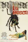 La mosca de cabeza blanca