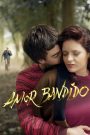 Amor Bandido