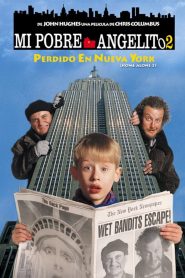 Mi pobre angelito 2: Perdido en Nueva York