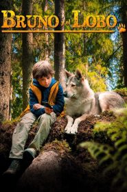 Bruno y el lobo
