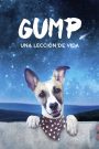 Gump: Una Lección de Vida
